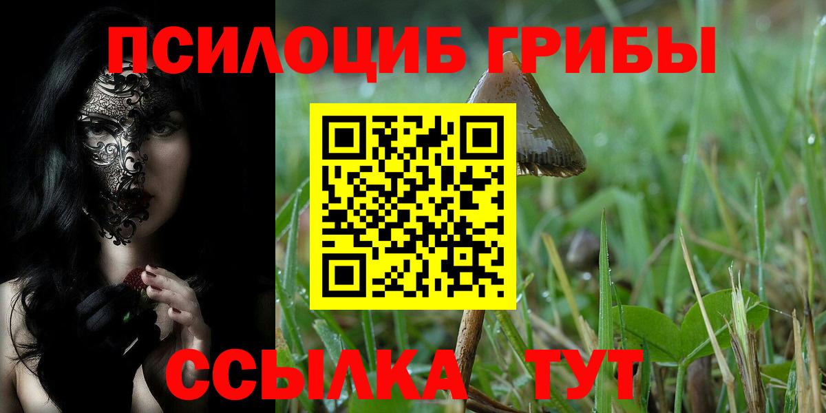 Галлюциногенные грибы MAGIC MUSHROOMS Буйнакск