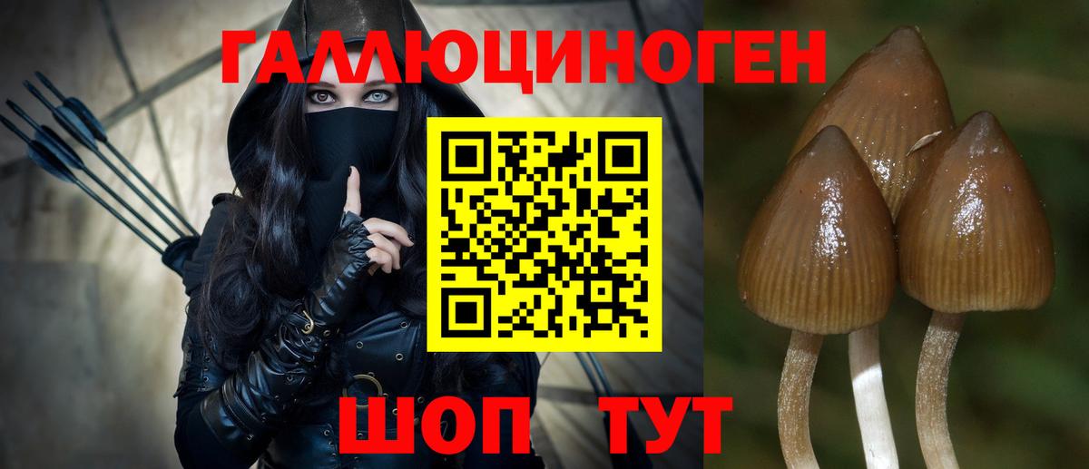 Галлюциногенные грибы Cubensis  Вход с VPN  Буйнакск 